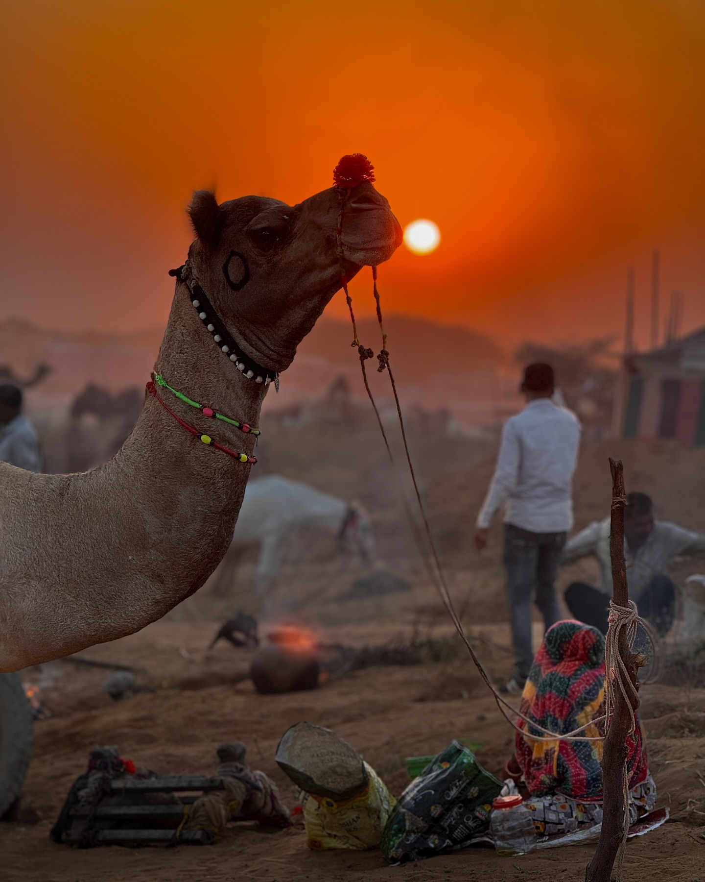 Pushkar Tours